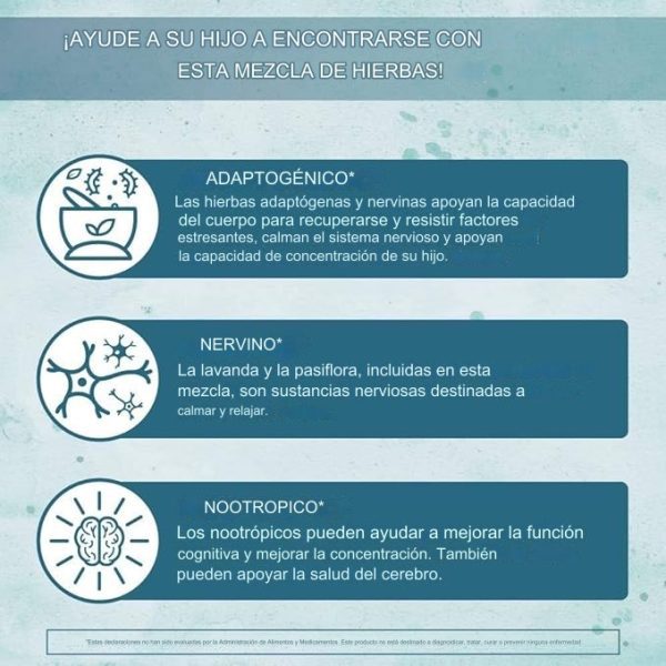 Mary Ruths Focus Suplemento nootrópico para Niños, 30 ml, 1 Oz suplemento con Ginkgo Biloba y raiz de Astrágalo, Salud Cerebral, vegano, sin gluten - Imagen 2