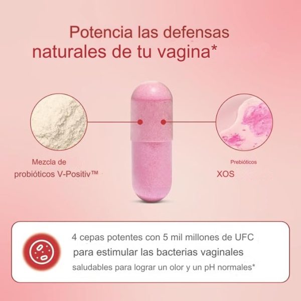 URO 60 Capsulas Probióticos vaginales para Mujeres, Equilibra el pH con prebióticos y mezcla de probióticos Lactobacillus, Ayuda a la salud vaginal, promueve el olor vaginal saludable y la flora - Imagen 3