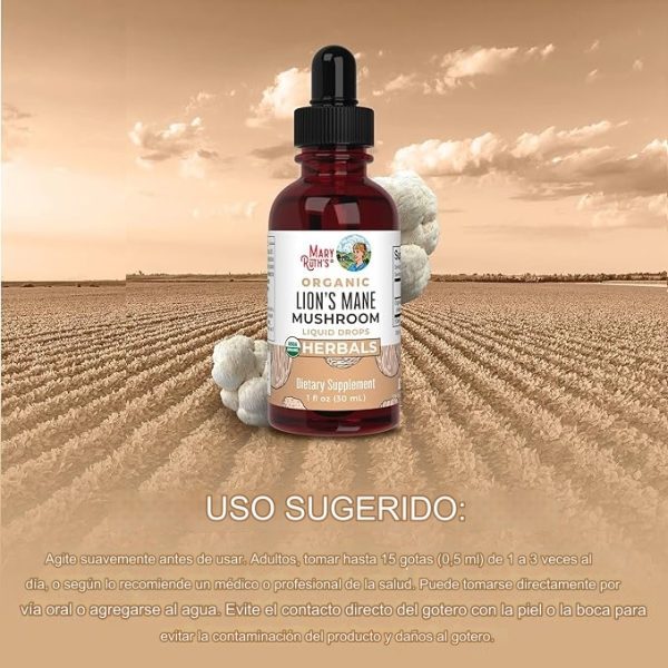 Mary Ruths Suplemento de hongos de Melena de León, 1 onza líquida dura hasta 2 meses, Extracto de melena de león orgánico nootrópico USDA Gotas neuroprotectoras mejora el nerviosismo, vegano, sin alcohol - Imagen 4