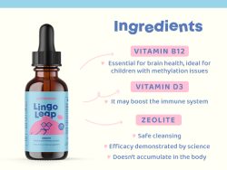lingo leap zeolita para bolivia